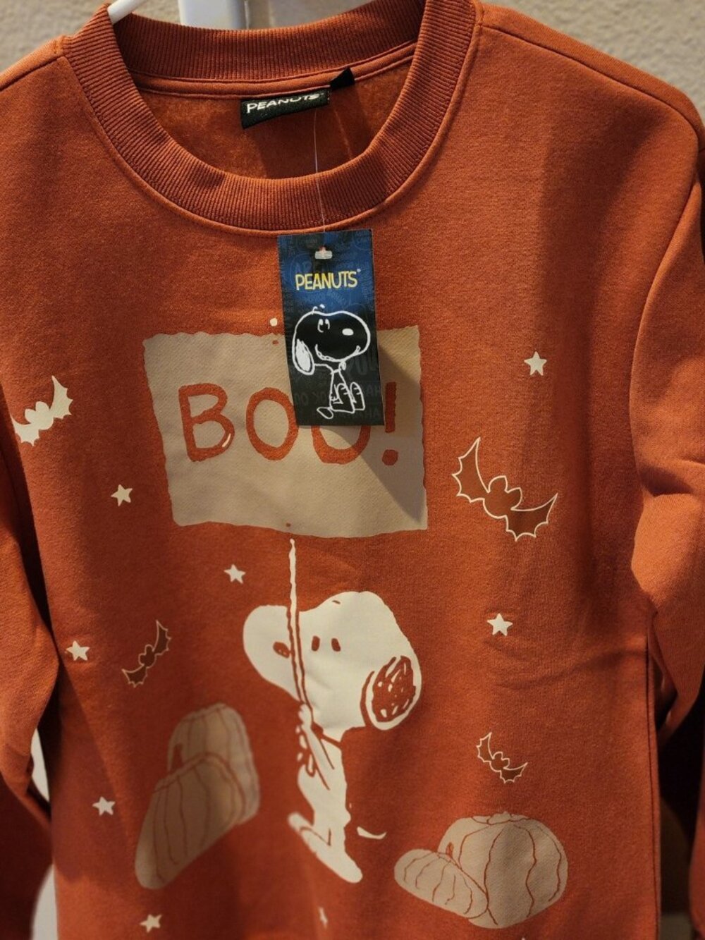 Peanuts Snoopy HALLOWEEN TRICK OR TREAT BOO Girl's or Ladies Sweatshirt Small - Picture 2 of 4